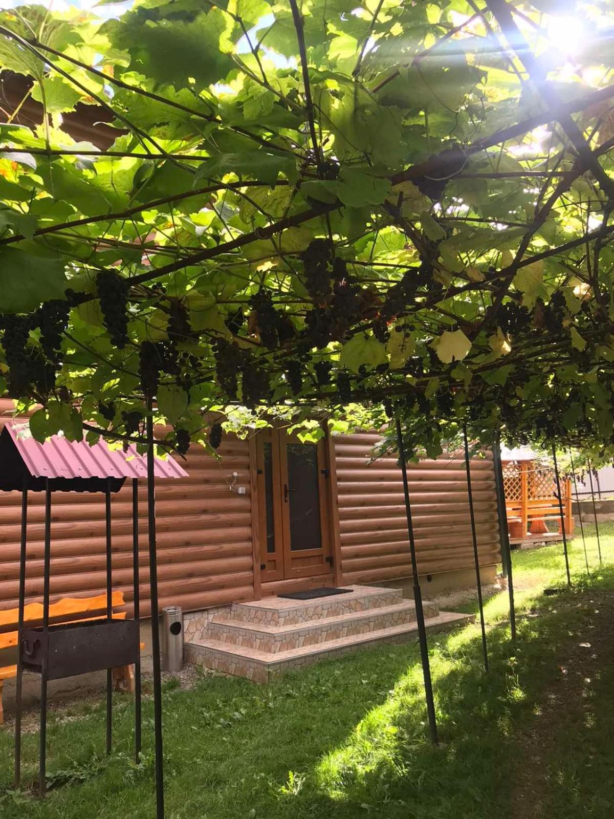 Базилік Hotel Yaremche Exterior foto