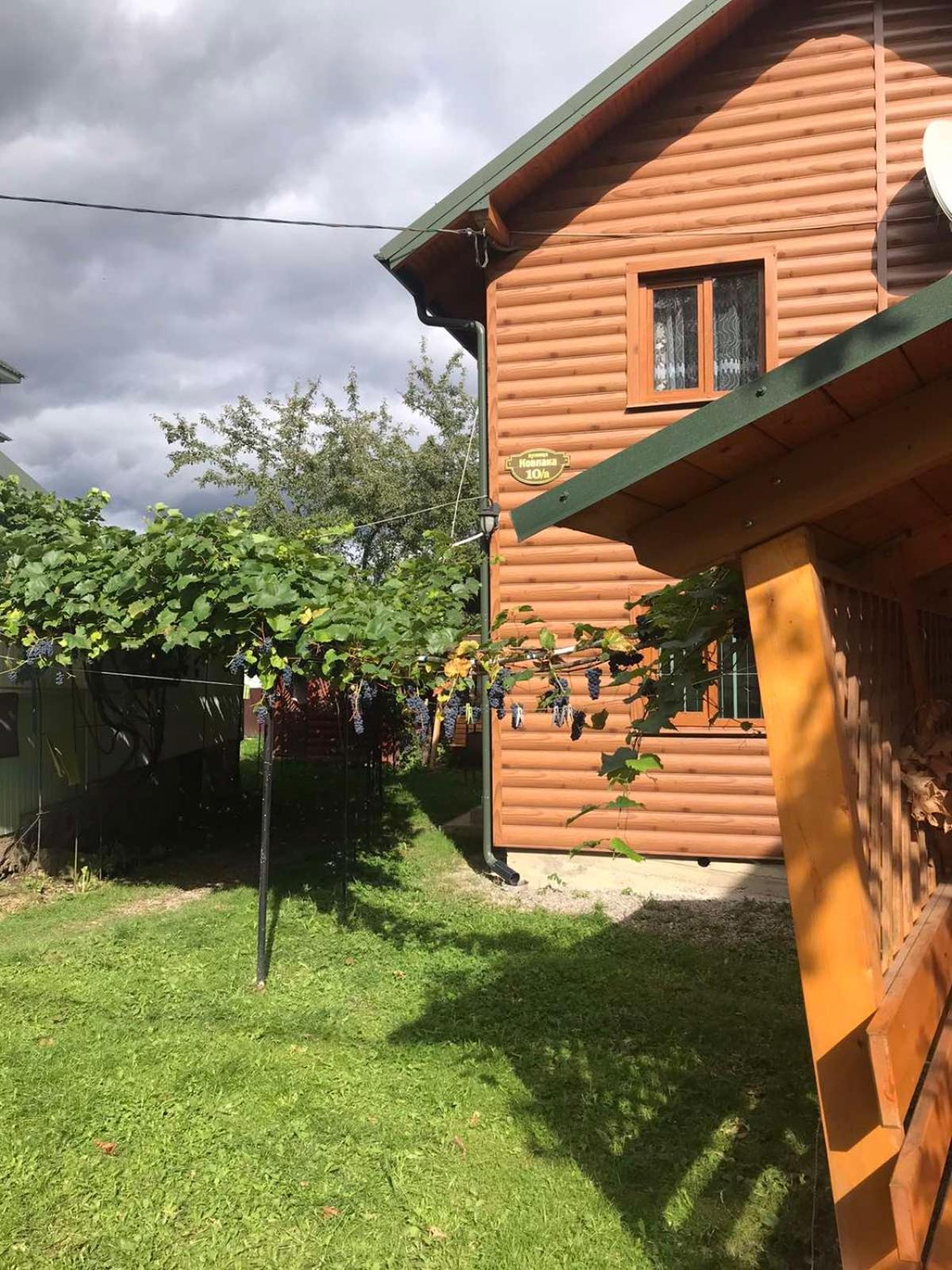 Базилік Hotel Yaremche Exterior foto